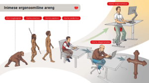 ergonoomika istumine homo ergonomicus ergoway salli